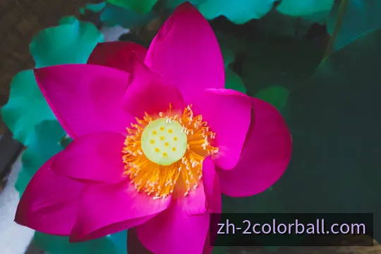 双色球号码分析与走势研究主题视觉